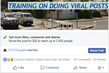 Training on Doing Viral Posts